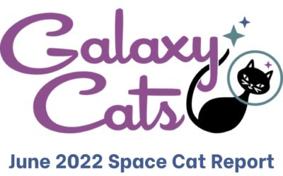 Space Cat Report June 2022