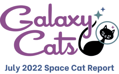 Space Cat Report July 2022