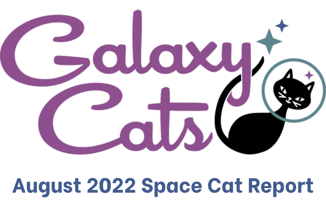 Galaxy Cats logo and August 2022 Space Cat Report