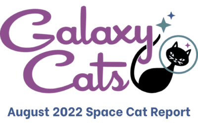 Space Cat Report August 2022