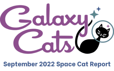 The Space Cat Report September 2022