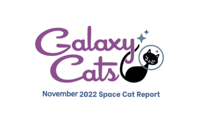 The Space Cat Report November 2022