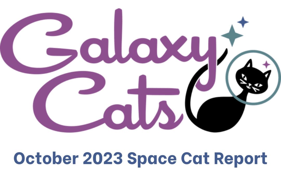 The Space Cat Report October 2023