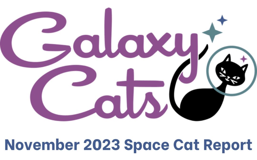 The Space Cat Report November 2023