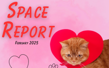 Galaxy Cats Presents… Space Report February 2025