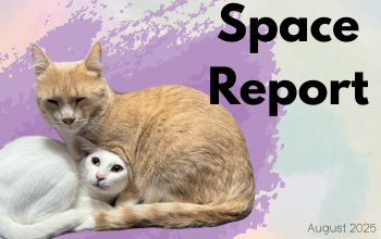 Space Report August 2025